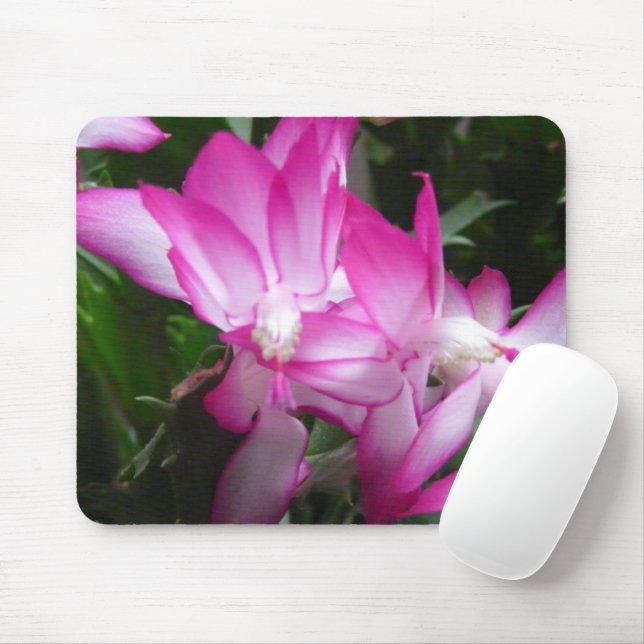 Christmas Cactus Flowers Photo Mouse Pad (With Mouse)
