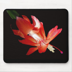 Christmas Cactus Merry Christmas Series Mouse Pad