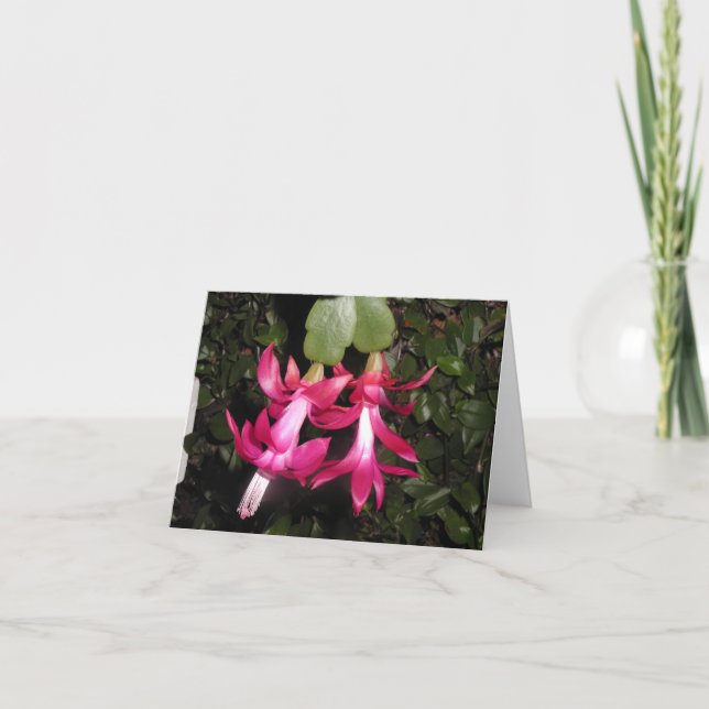 Christmas cactus notecard (Front)