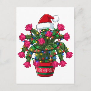 Christmas Cactus Schlumbergera Bridgesii Holiday Postcard