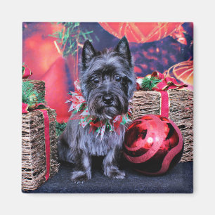Christmas - Cairn Terrier - Jewel Magnet