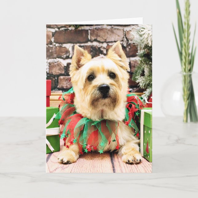 Christmas - Cairn Terrier - Lola Holiday Card (Front)