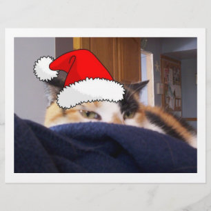Christmas Calico Cat Flyer