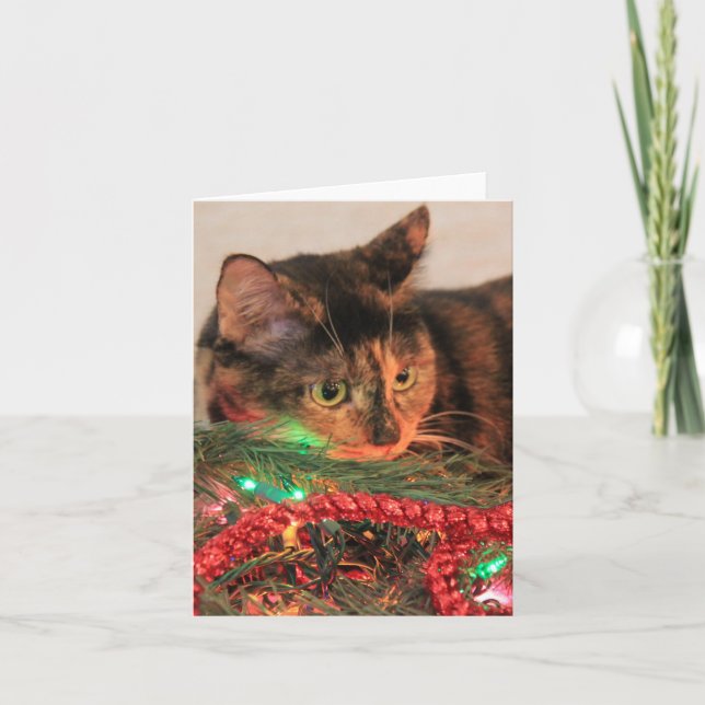 Christmas Calico, Cat likes lights! blank notes (Front)
