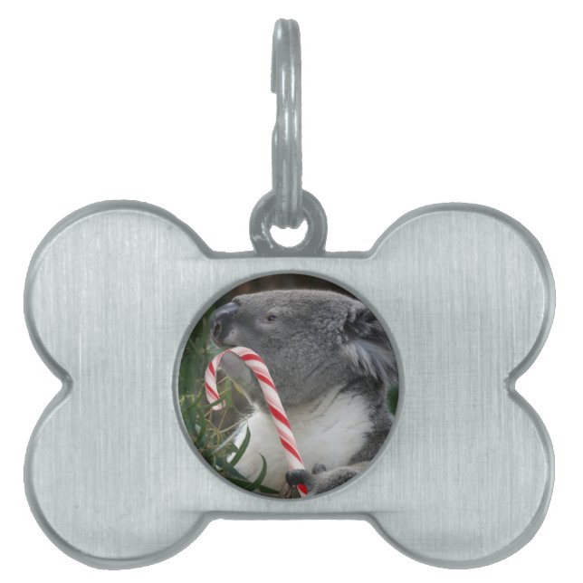Christmas Candy Cane Koala Pet ID Tag (Front)
