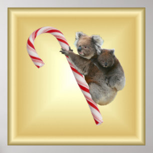 Christmas Candy Cane Koalas Poster