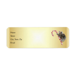 Christmas Candy Cane Koalas Return Address Label