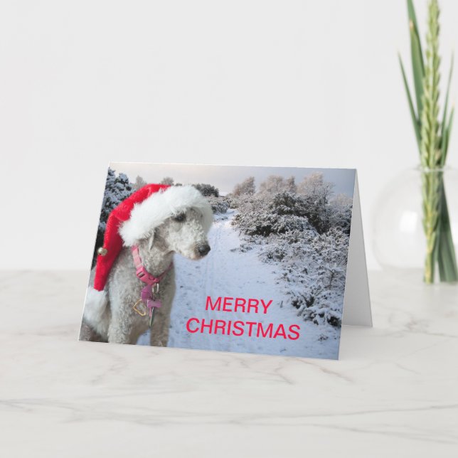 Christmas card (Front)