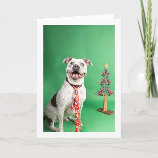 Christmas card (Front)