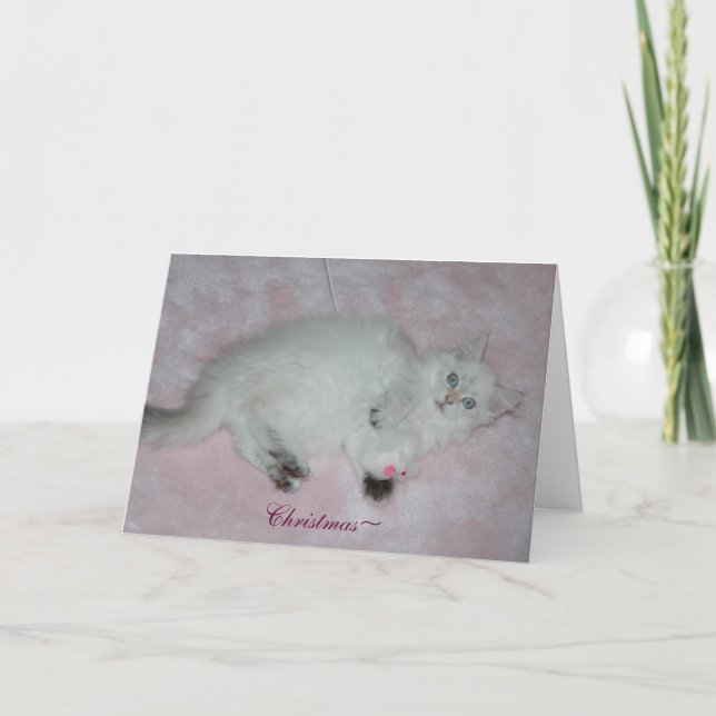 Christmas Card (Front)