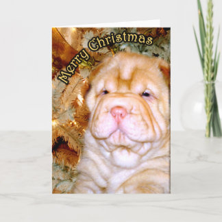 Christmas Card