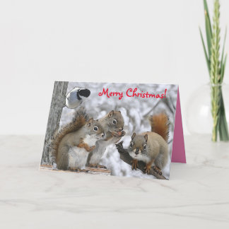 Christmas card 7 x 5" with Mr. Bickles