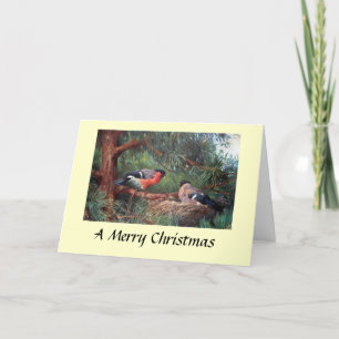 Christmas Card - Bullfinches