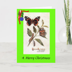 Christmas Card - Butterfly