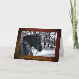Christmas Card "Canadian Horse Sleigh"