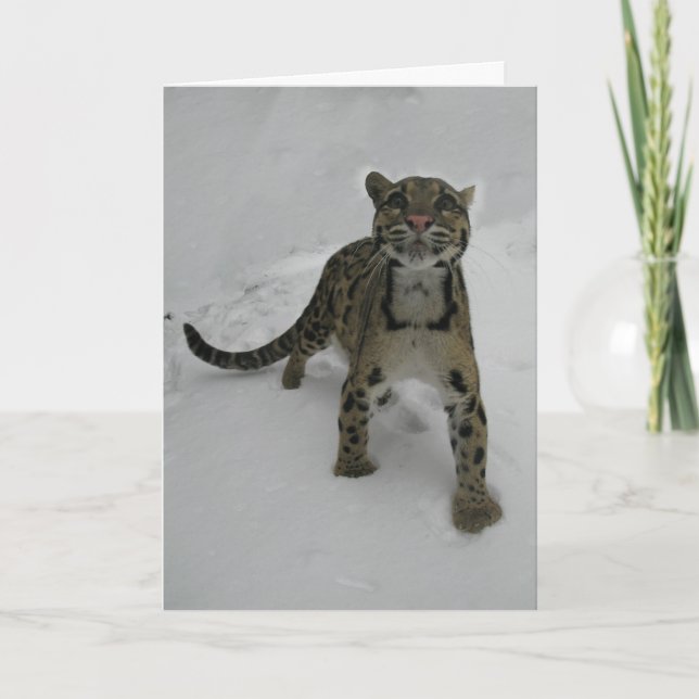 Christmas card - Clouded Leopard (Front)