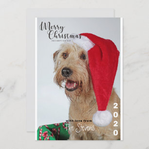 Christmas Card Dog Pet Photo Collage
