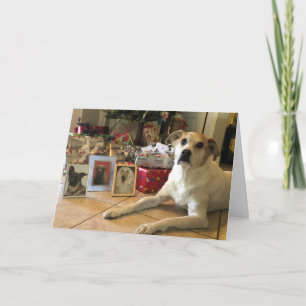 Christmas card, dog with family photos holiday card