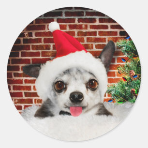 CHRISTMAS CARD ENVELOPE SEAL STICKERS CHIHUAHUA