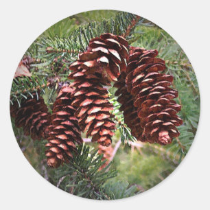 Christmas Card Envelope Seals