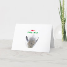 Christmas card featuring donkey nose
