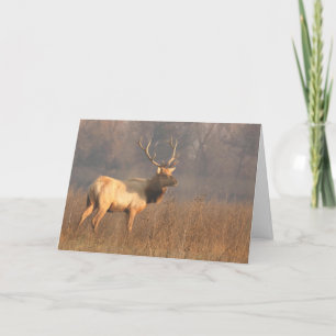 Christmas card featuring Tule elk