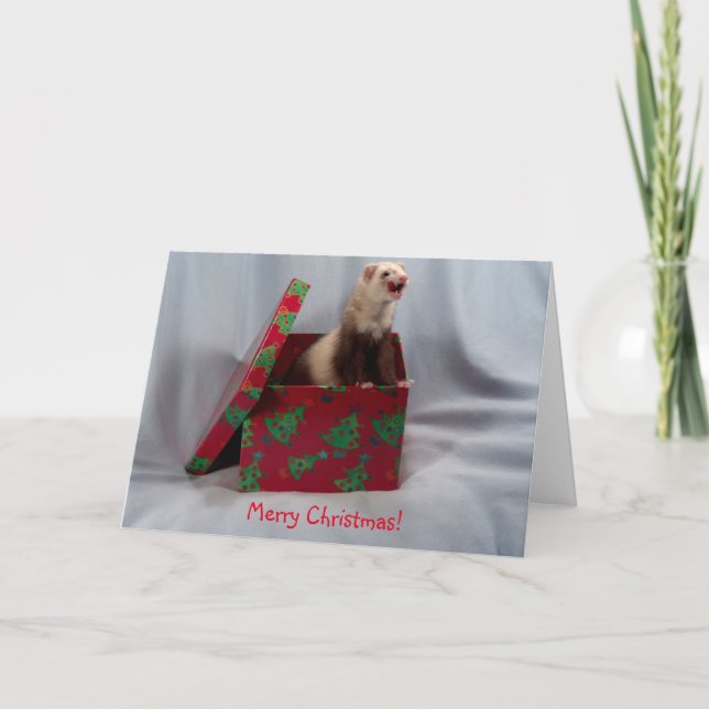 Christmas Card Ferret (Front)