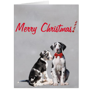 Christmas Card Great Great Danes