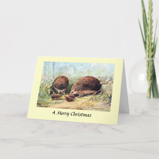 Christmas Card - Hedgehogs (Front)