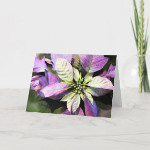 Christmas Card - Lavender Poinsettia