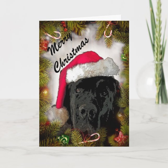 Christmas Card ~ Newfoundland Dog (Front)