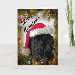 Christmas Card ~ Newfoundland Dog
