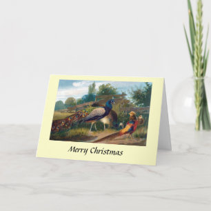 Christmas Card - Pheasants