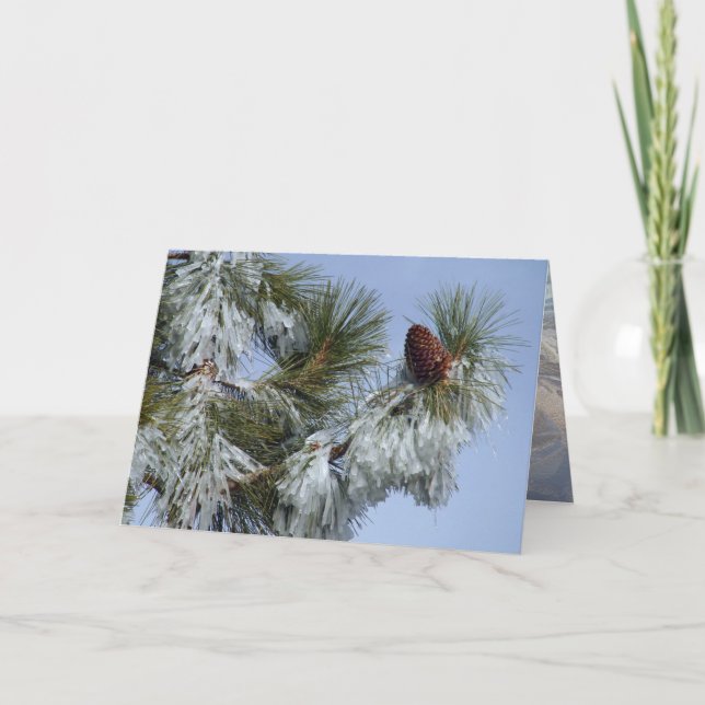 Christmas Card - Pinecone (Front)