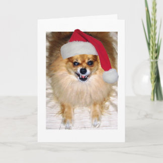 Christmas Card | Pomeranian Santa Dog