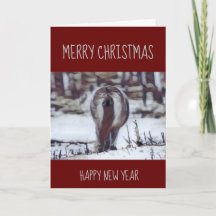 Christmas Card "Pony Tail"