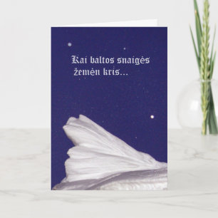 Christmas Card- Rami naktis Holiday Card