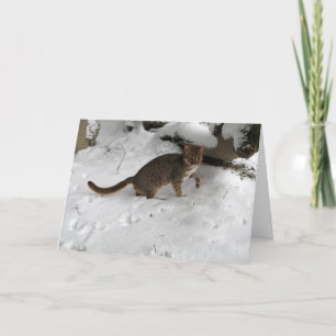 Christmas card - Rusty spotted cat 2