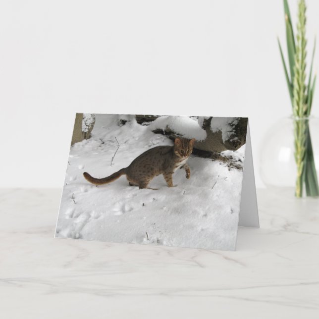 Christmas card - Rusty spotted cat 2 (Front)