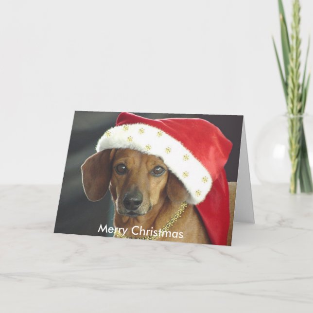 Christmas Card - Santa Dachshund (Front)