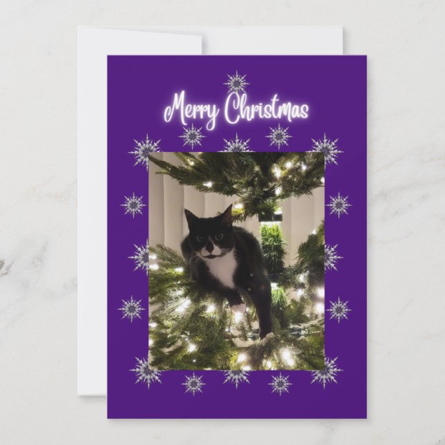 Christmas card wit tuxedo cat on the tree.  (Front)