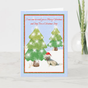 Christmas Card with White Dog