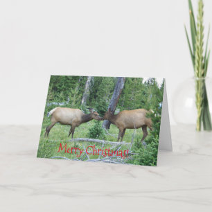christmas card with Yellowstone elk