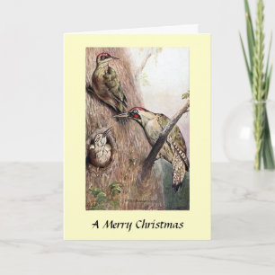 Christmas Card - Woodpeckers