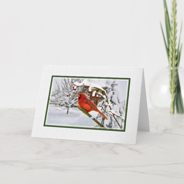 Christmas,  Cardinal Bird, Snow, Card (Front)