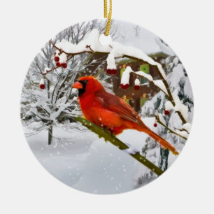 Christmas,  Cardinal Bird, Snow, Ornament