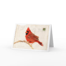 Christmas Cardinal