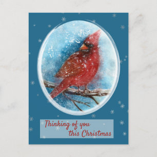 Christmas Cardinal Thinking of you Holiday