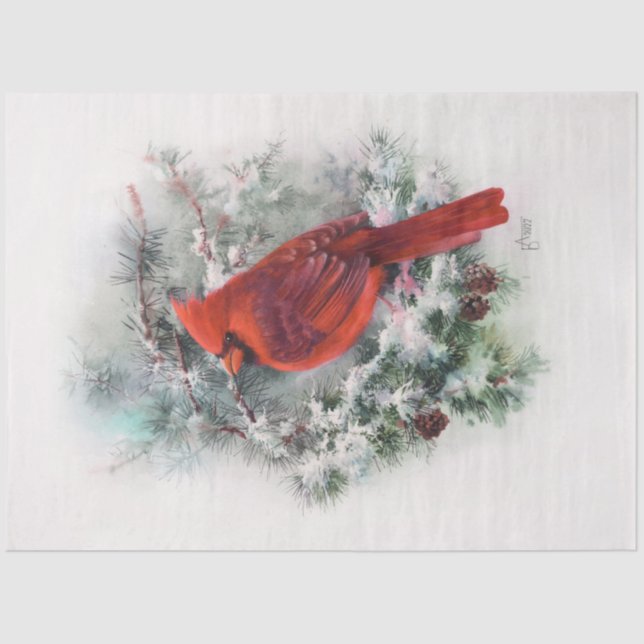 Christmas Cardinal Tissue Paper (Front)