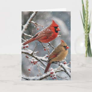 Christmas Cardinals on Winter Tree Branch Card
